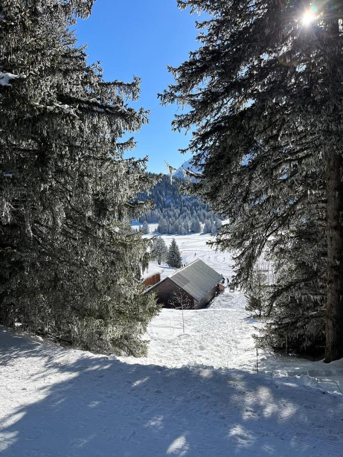 Chamrousse Appart 8 Personnes Au Pied Des Pistes Kültér fotó