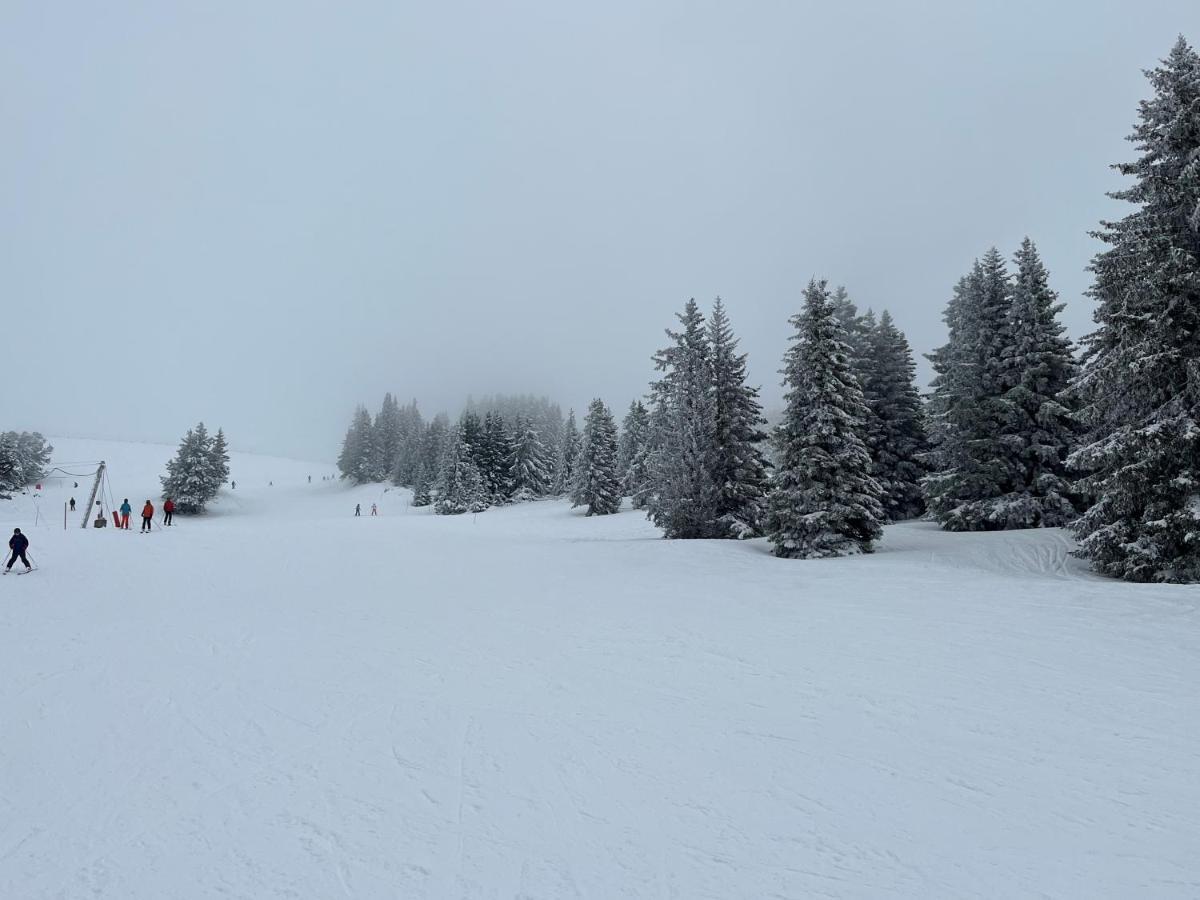Chamrousse Appart 8 Personnes Au Pied Des Pistes Kültér fotó