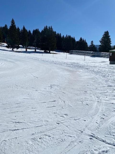Chamrousse Appart 8 Personnes Au Pied Des Pistes Kültér fotó