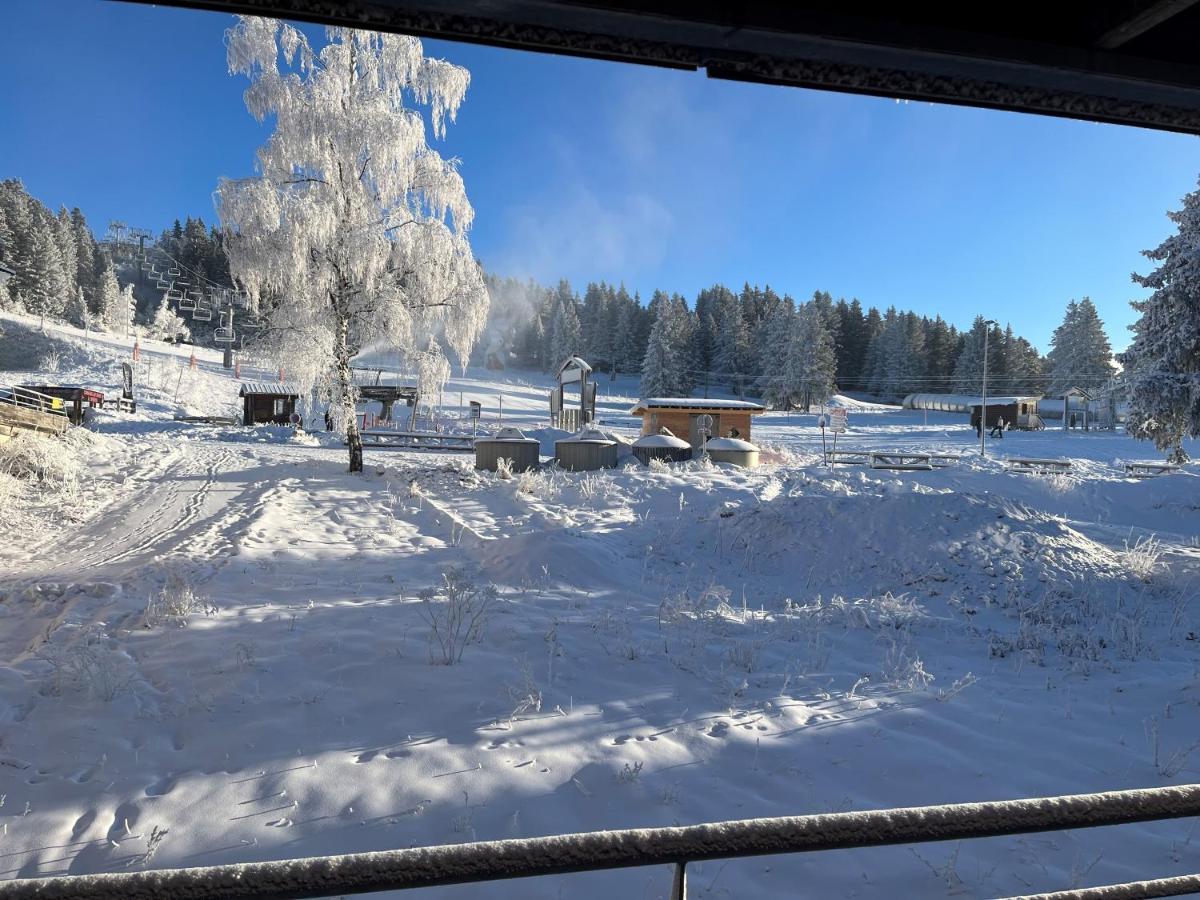 Chamrousse Appart 8 Personnes Au Pied Des Pistes Kültér fotó